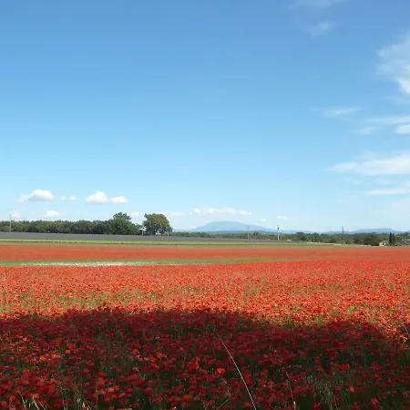 Entre Garrigue Et Potager Bio *