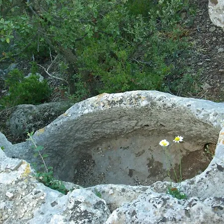 Holiday home Entre Garrigue Et Potager Bio Montsegur-sur-Lauzon