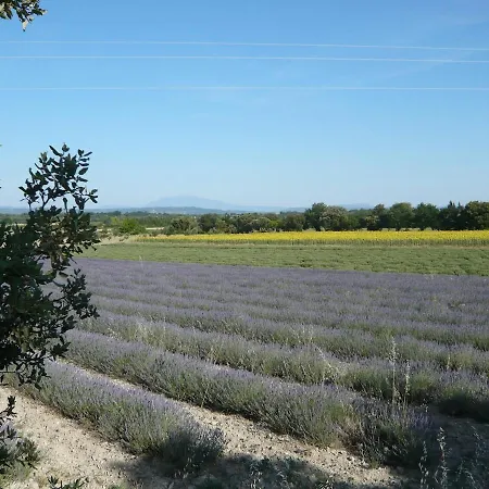 Entre Garrigue Et Potager Bio Montsegur-sur-Lauzon