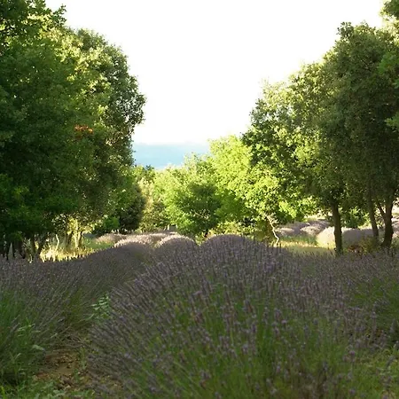 Entre Garrigue Et Potager Bio Montsegur-sur-Lauzon