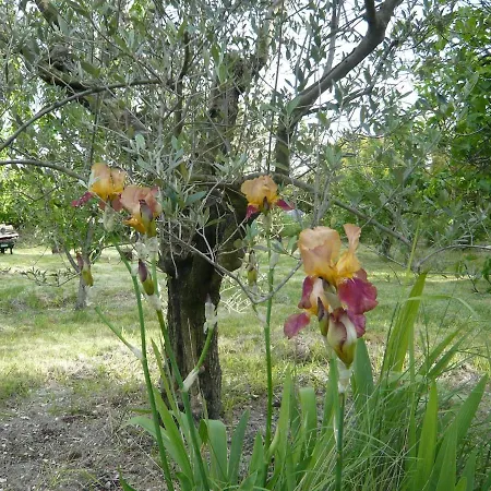 Entre Garrigue Et Potager Bio