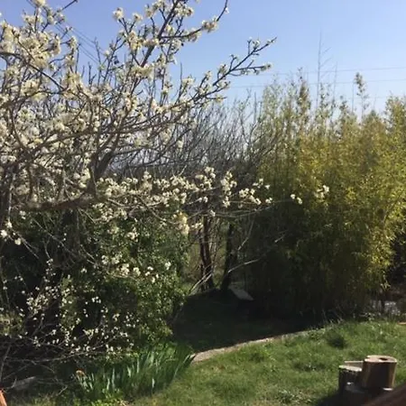 Holiday home Entre Garrigue Et Potager Bio Montsegur-sur-Lauzon